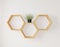 Hexegon shelf and flower for copy space or mock up 3d rendering