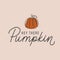 Hey there Pumpkin card. Retro fall concept with lettering and line art pumpkin. Autumn typography design. Vector illustration