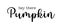Hey there Pumpkin. Modern black ink calligraphy lettering. Fall welcoming quote. Cute sweet phrase for autumn season