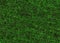 Hi-res meadow lush green grass texture