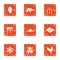 Hibernation icons set, grunge style