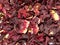 Hibiscus dried leaves