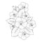 Hibiscus flowe drawing. Hibiscus flower tattoo. Hibiscus flower outline. Hibiscus flower painting.