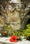 Hibiscus flower and antique column in Carthage