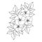 Hibiscus flower coloring page illustration with line art stroke of black and white hand drawn