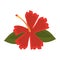 Hibiscus flower exotic icon