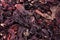 Hibiscus flower red tea karkade, dried petals of Sudanese rose texture background