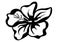 Hibiscus flower silhouette vector illustration