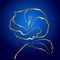 Hibiscus flower sketch gold on blue