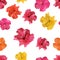 Hibiscus flower. Tropical flowers seamless pattern colorful isol
