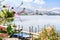 Hibiscus flowers growing beside lake with town in background