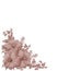 Hibiscus pink Monochrome invitation