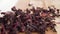 Hibiscus red dry tea petals falling on a wooden surface. Close up.