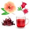Hibiscus tea set. Roselle red tea in a glass mug, dried tea, bract and flower isolated on a white background. Realistic
