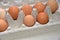 Ð¡hicken eggs in a cardboard package