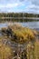 Hickey Lake Shoreline with a beaver lodge, Duck Mountain, Provincial Park, Manitoba