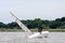 HICKLING BROAD, NORFOLK/UK - AUGUST 5 : Yachtsman attempting to