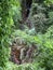 Hidden Beautiful waterfall in forest, hong kong