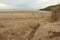 Hidden behind the grass on the dunes dunes over Saunton Sands beach in Devon, South West, UK