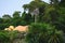 Hidden Buddha statue in tropical jungle. Krabi province, Thailand.