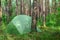 Hidden in forest pitched tent - example of stealth camping