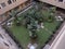 A hidden garden inside newly build apartment