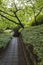 Hidden Japanese Garden Path