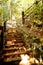 Hidden limestone and granite stairway in the Forest