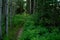 Hidden Meadow Hiking Trail