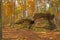 Hidden Mushroom Rocks in the Fall Forest