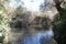 Hidden Natural Water Pool in The Flora, Dalyot Brook, Dalyot Nature Reserve Park, Israel