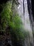 A hidden paradise in the forest, the water falls in Nanga-nanga Natural beauty covered by nature itself