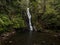 Hidden secret green tropical forest waterfall Wentworth Falls in Whangamata Coromandel Peninsula Waikato New Zealand