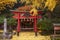 A hidden shrine surrounded by scattered ginko leaves