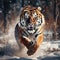 Hidden of Tiger in wild winter Amur tiger running in the Action wildlife danger animal