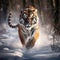 Hidden of tigre. Tiger in wild winter nature. Amur tiger running in the snow. Action wildlife scene danger animal