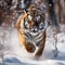 Hidden of tigre. Tiger in wild winter nature. Amur tiger running in the snow. Action wildlife scene danger animal