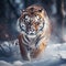 Hidden of tigre. Tiger in wild winter nature. Amur tiger running in the snow. Action wildlife scene danger animal