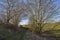 A Hidden Track lies just off the road near Letham in Angus, heading into the foothills of the Farmland .