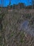 A Hidden Water Trail at Cape Henlopen State Park, Lewes, DE