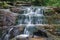 Hidden Waterfall in the Woods