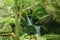 Hidden Waterfalls in a Boulder Field