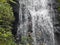 Hidden Waterfalls somewhere in Tennessee Near the Smokey Mountains