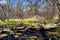 Hidden Waters In Menomonee Falls