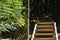 Hidden wood-made staircase in a dense tropical jungle