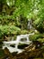 Hiden waterfall in the Ukrainian Carpathians