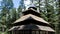 Hidimba Devi Temple located in Manali