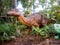 Hiding in a bush tsintaosaurus display model in Perth Zoo