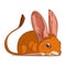A Hiding Jerboa, isolated vector illustration. A cute cartoon picture of a jerboa lying.