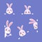 Hiding rabbits. Peeking easter rabbit, cute bunny peek from hole, cartoon animal with space for text banners border or